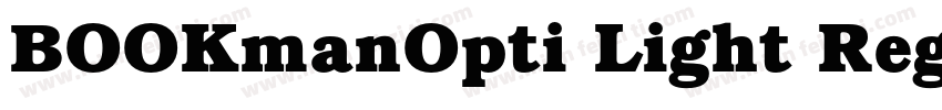 BOOKmanOpti Light Regular字体转换